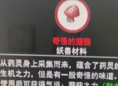鬼谷八荒蘑灵仙力效果怎么样 蘑灵仙力气运刷出效果