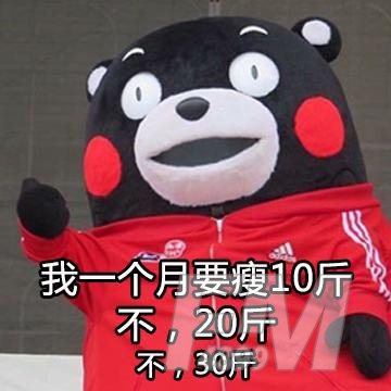 抖音超大表情包代码大全：熊猫头动态gif小脂肪退下吧本宫要瘦了表情包[多图]图片7