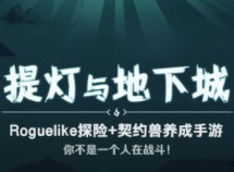 提灯与地下城雷法如何出装 雷法宠物选择推荐
