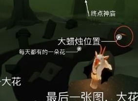 光遇3月11日大蜡烛在哪 光遇国服3.11大蜡烛位置