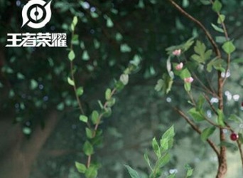 王者荣耀自然之灵WWF新皮肤是谁 自然之灵WWF新皮肤解析