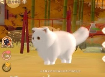 忘川风华录猫咪外观码 猫灵外观捏脸码数据