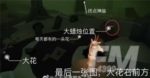 光遇3.25大蜡烛位置分布一览