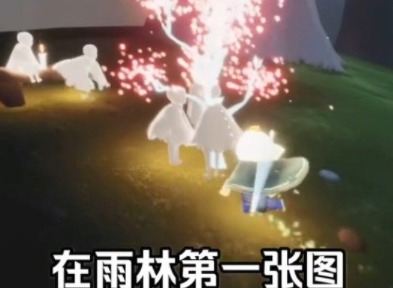 光遇雨林赏花位置在什么地方 雨林赏花位置