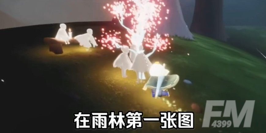 光遇雨林赏花在哪？雨林赏花位置大全[多图]图片1