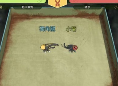 小森生活赤鬼在哪里才能捉到 赤鬼甲虫在哪个位置