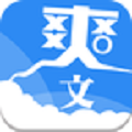 爽文