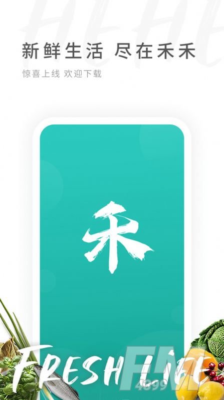 禾禾网