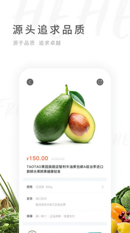 禾禾网截图