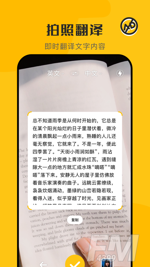 蜜蜂翻译