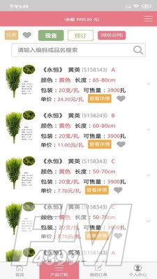 缤纷鲜花