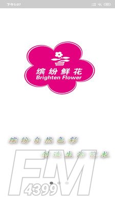 缤纷鲜花