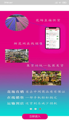 缤纷鲜花截图