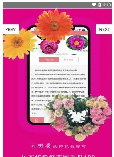 缤纷鲜花截图