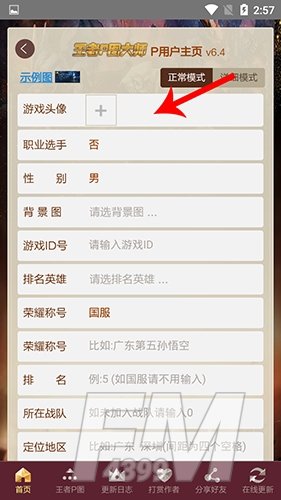 王者p图大师