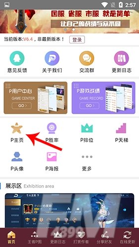 王者p图大师