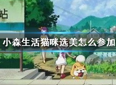 小森生活猫咪怎么参加选美 猫咪选美冠军如何获取