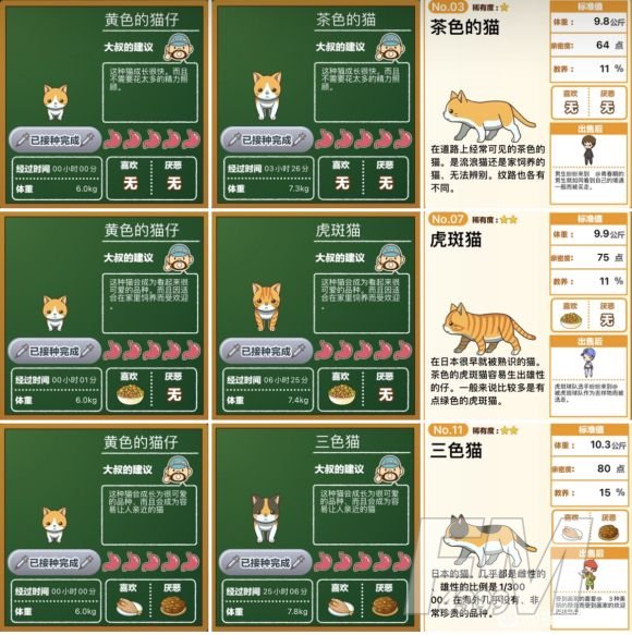 猫猫咖啡屋流浪猫喜欢吃什么食物？猫猫咖啡屋手游流浪猫攻略大全[多图]图片2