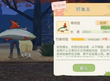 小森生活鳡鱼王刷新时间一览 鳡鱼王刷新点分布大全