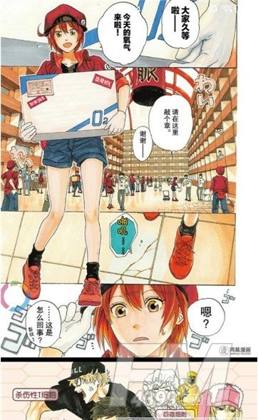 速速动漫