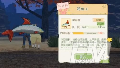 小森生活鳡鱼王几点刷新？鳡鱼王刷新点分布图[多图]图片1
