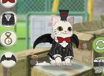 小森生活金猫币如何获取 金猫币获取攻略