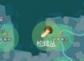 小森生活松茸在什么地方采摘 松茸获取方法攻略