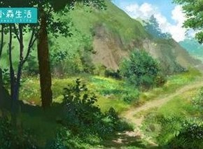 小森生活止风草在什么地方采摘 止风草采摘指南