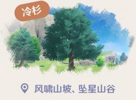 原神杉木在哪里可以获得 杉木获取指南
