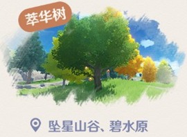 原神翠华木在何处砍伐 翠华木获取指南