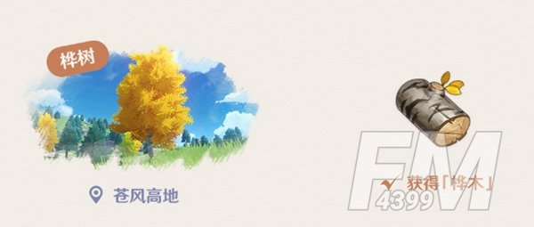 原神桦木位置介绍