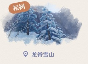 原神松木应该如何砍伐 松树砍伐指南