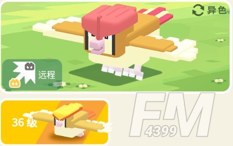 宝可梦大探险比比鸟攻略