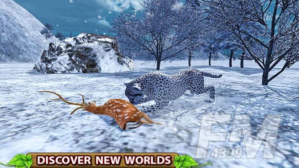 野生猎豹模拟3D