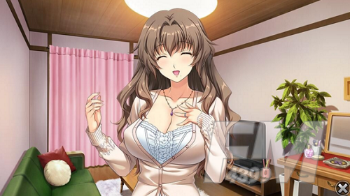 妻中蜜3