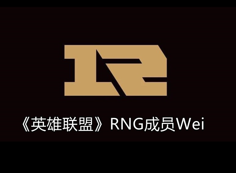 英雄联盟RNG战队成员信息 Wei个人资料