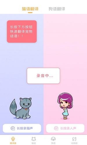 猫语翻译官