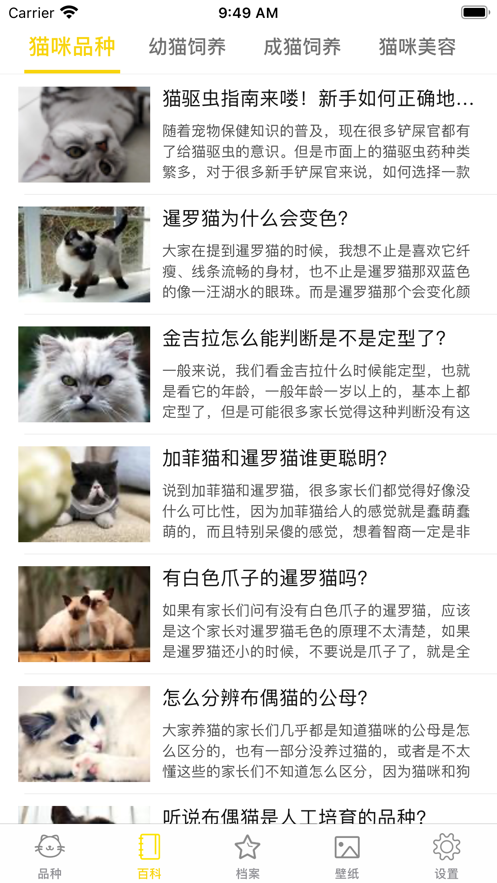 猫猫生活圈
