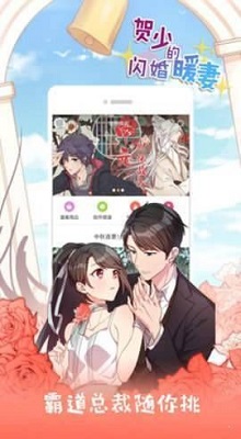 双子猫漫画