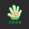 五楼直播