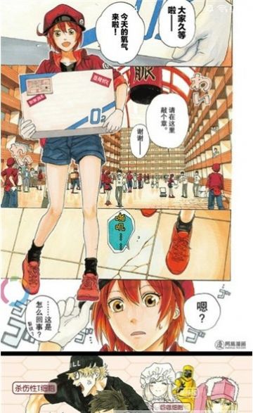 速速动漫APP截图