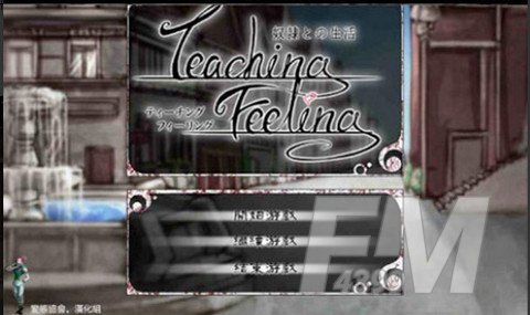 teachfeeling
