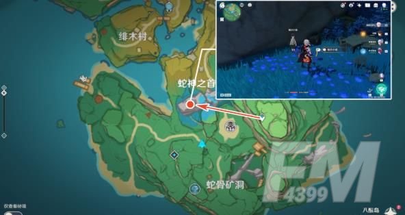 原神鲸井小弟在哪？稻妻鲸井小弟位置一览[多图]图片4