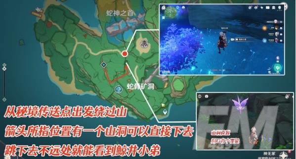 原神鲸井小弟在哪？稻妻鲸井小弟位置一览[多图]图片3