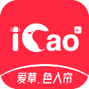 爱草直播最新版