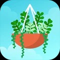 梦幻植物园