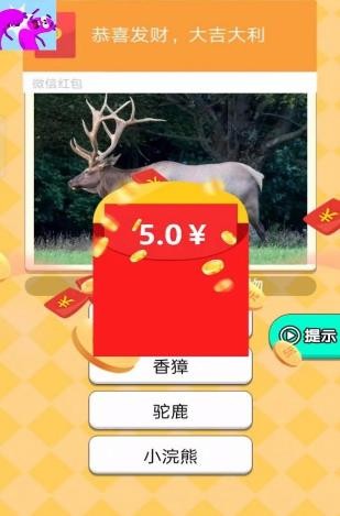 疯狂打年糕