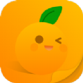桔子小说