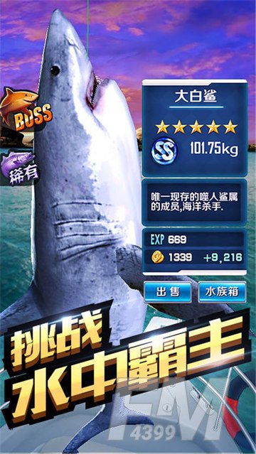 全民钓鱼