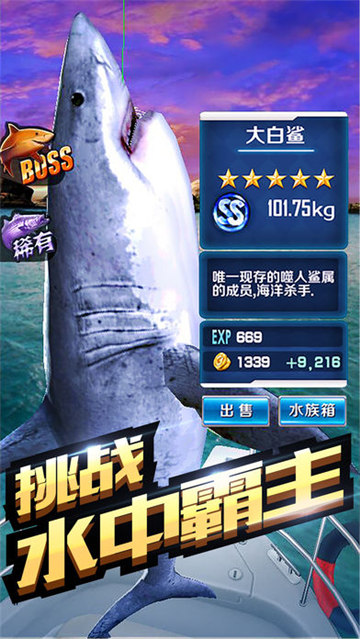 全民钓鱼截图